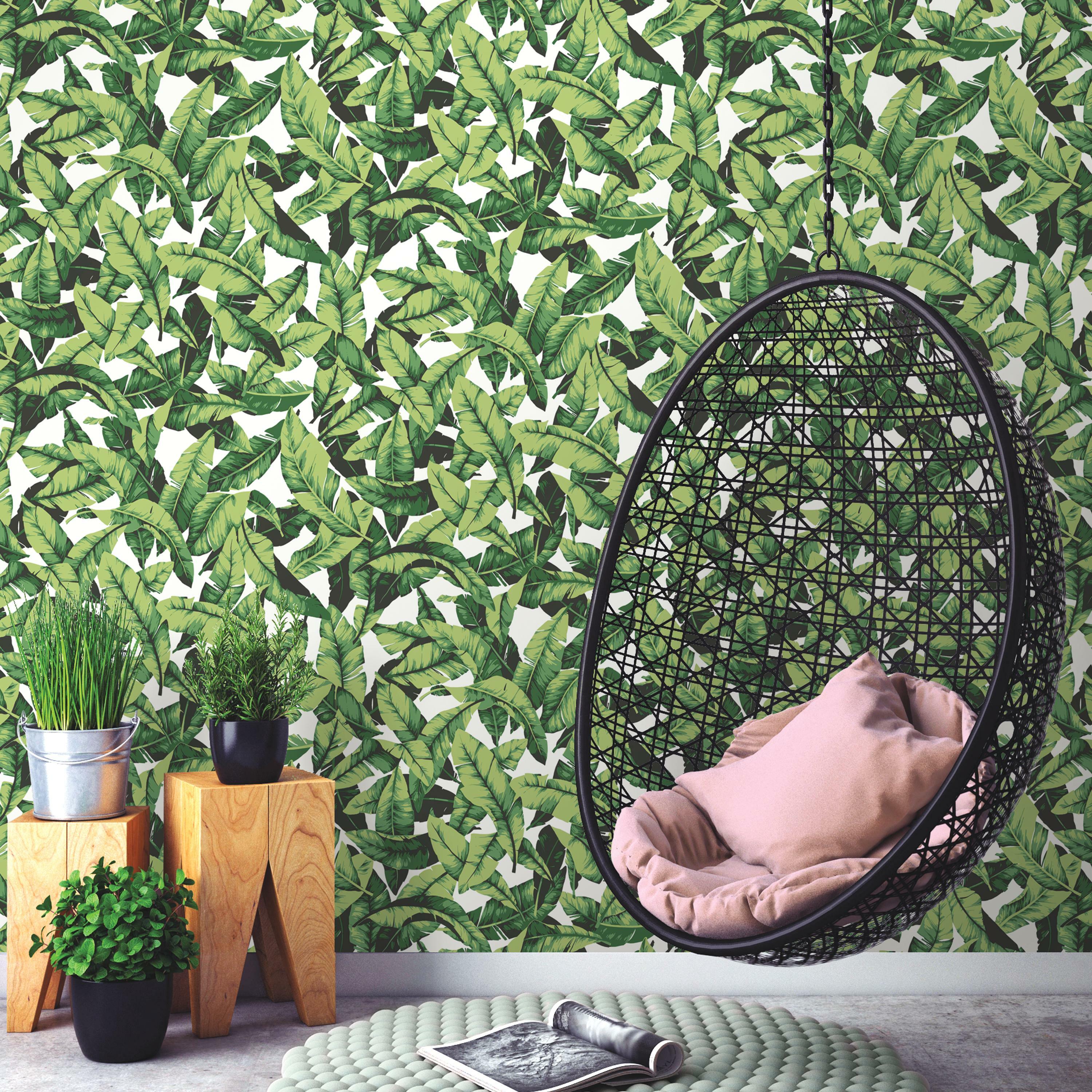 The Ultimate Guide to Transforming Your Home into a Tropical Oasis