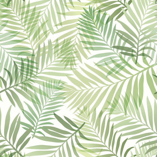 Tropical Vibe Peel & Stick Wallpaper Peel and Stick Wallpaper RoomMates Roll Green 
