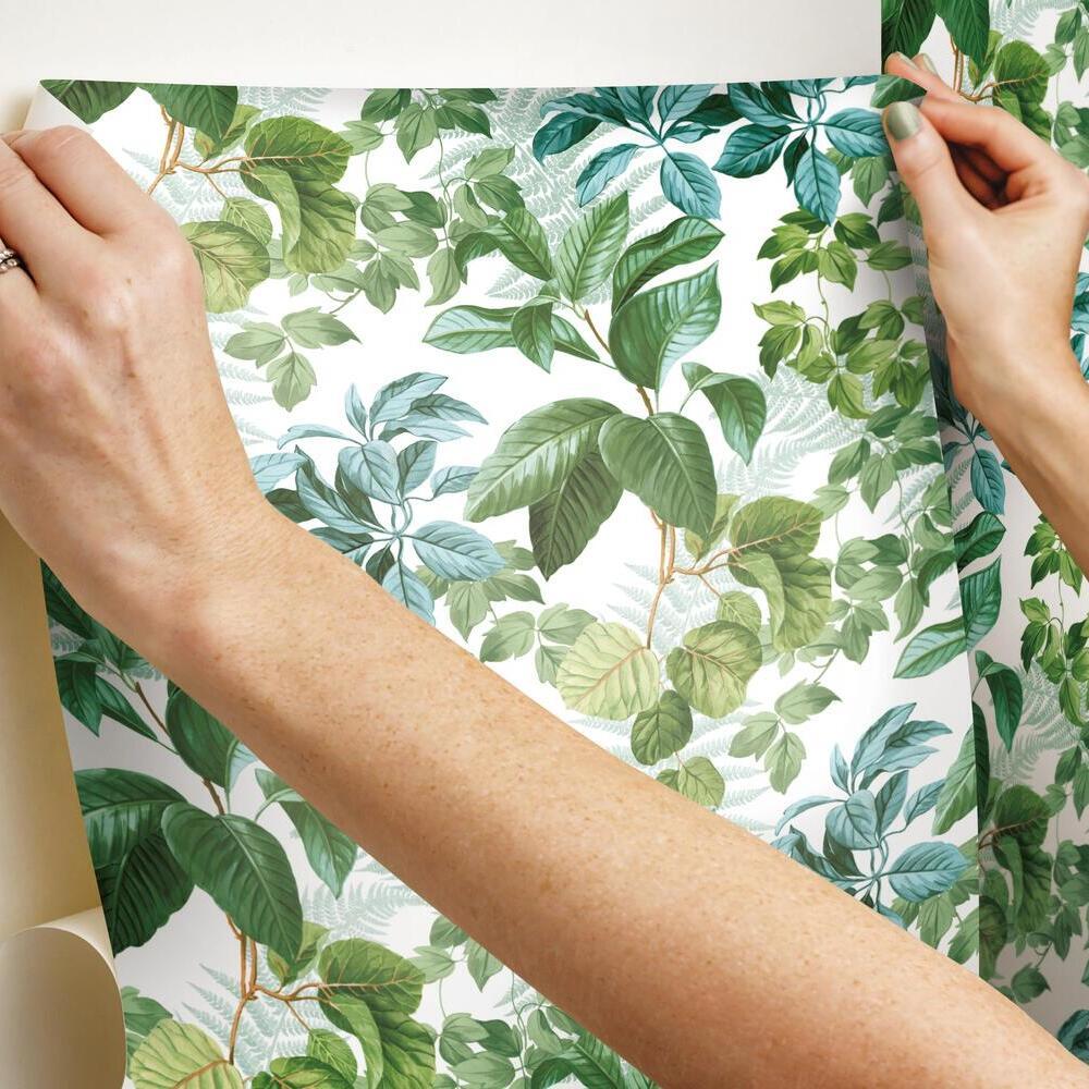 Rainforest Leaves Peel and Stick Wallpaper Peel and Stick Wallpaper RoomMates   