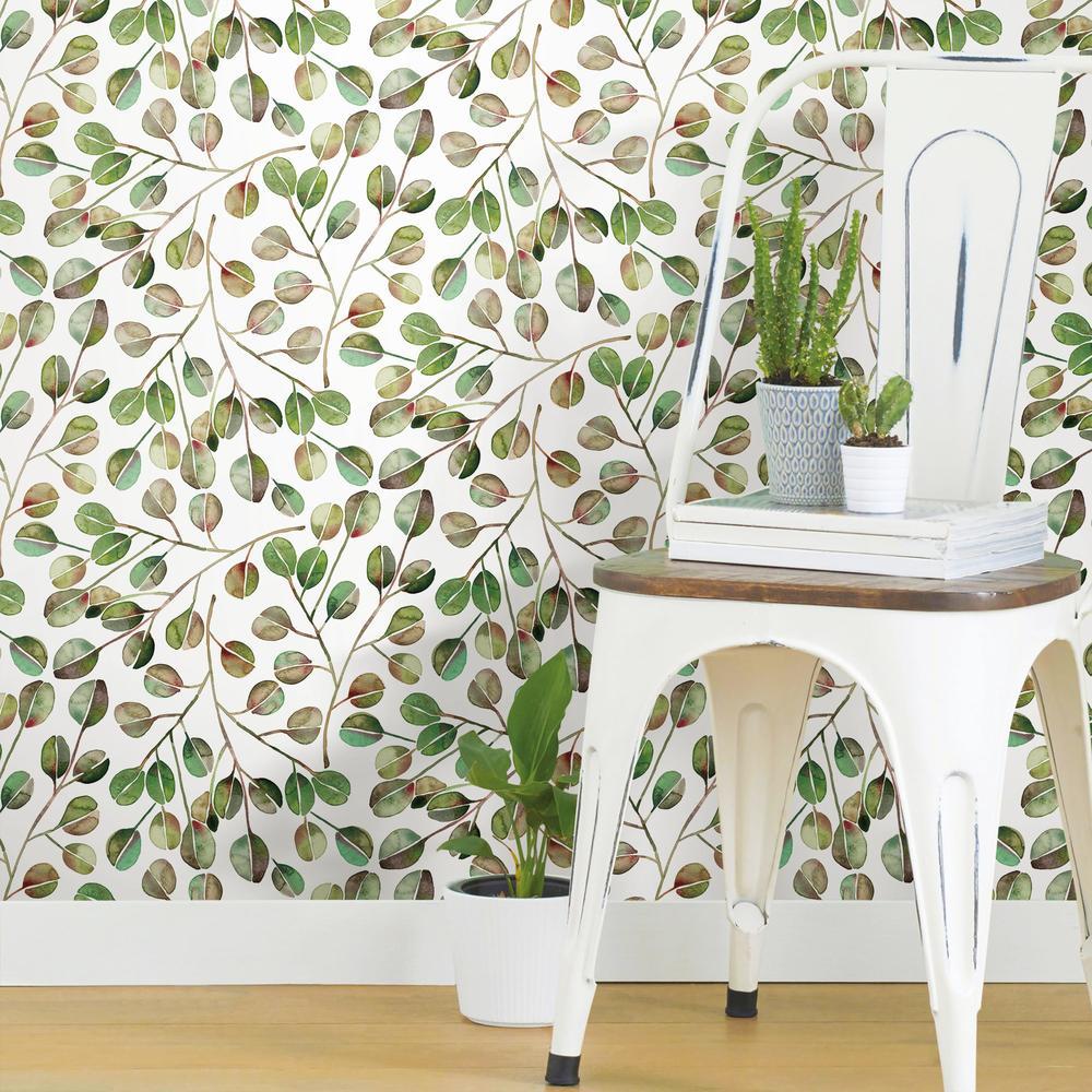 Cat Coquillette Eucalyptus Peel and Stick Wallpaper Peel and Stick Wallpaper RoomMates   