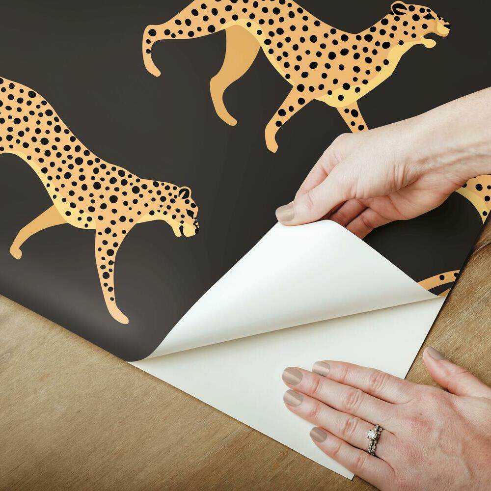 Cheetah Cheetah Peel and Stick Wallpaper Peel and Stick Wallpaper RoomMates   