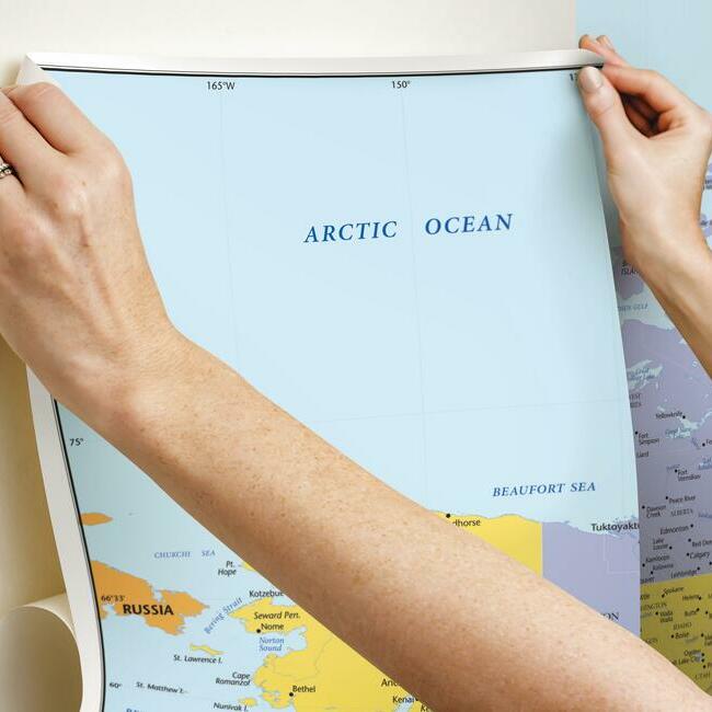 World Map Educational Mural Peel & Stick Wallpaper Wall Murals RoomMates   