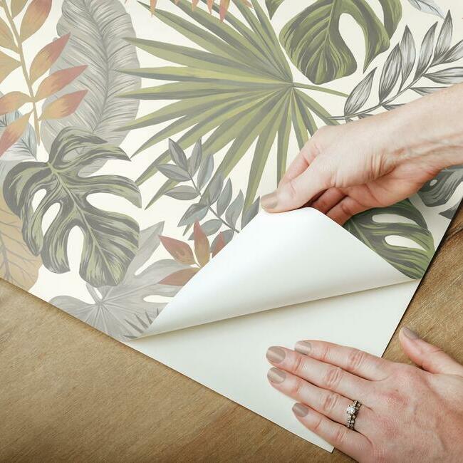 Palm Frond Toss Peel & Stick Wallpaper Peel and Stick Wallpaper RoomMates   