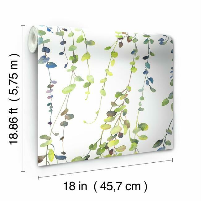Hanging Watercolor Vines Peel and Stick Wallpaper Peel and Stick Wallpaper RoomMates   