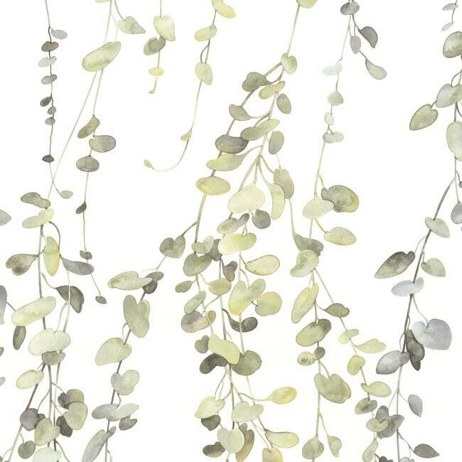 Hanging Watercolor Vines Peel and Stick Wallpaper Peel and Stick Wallpaper RoomMates Roll Taupe 