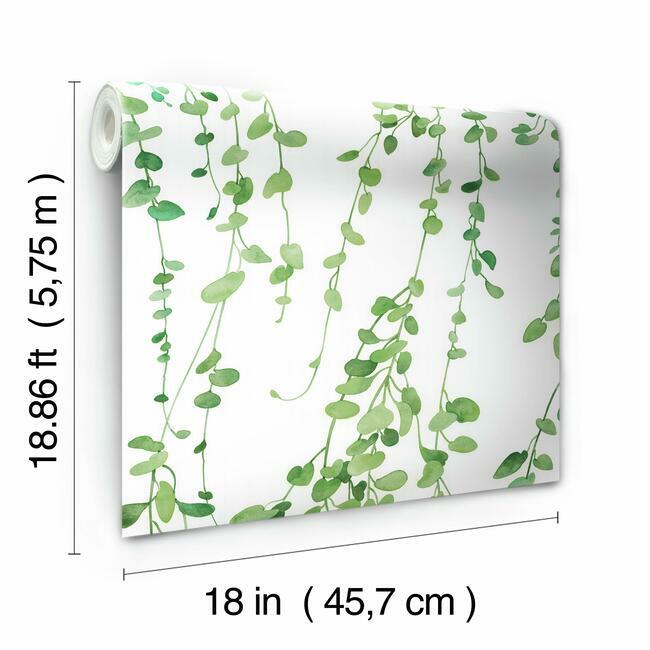 Hanging Watercolor Vines Peel and Stick Wallpaper Peel and Stick Wallpaper RoomMates   