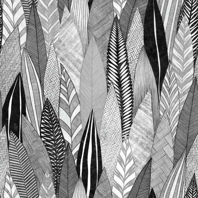 Fern & Feathers Peel and Stick Wallpaper Peel and Stick Wallpaper RoomMates Roll Grey 