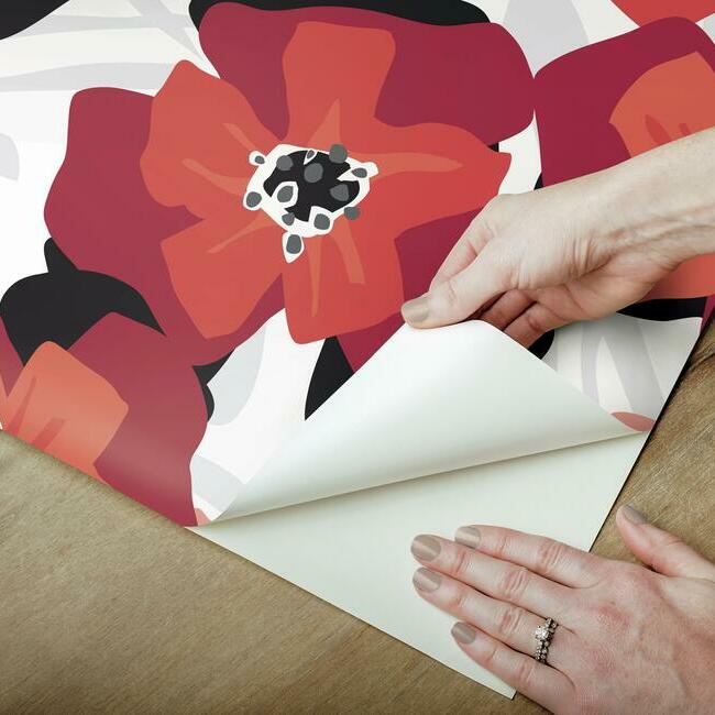Jane Dixon Poppy Punch Peel & Stick Wallpaper Peel and Stick Wallpaper RoomMates   
