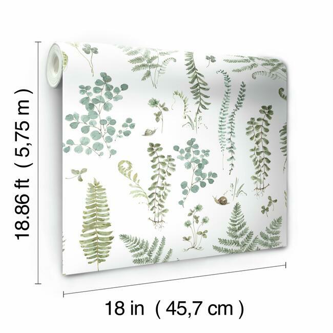 Lisa Audit Fern Study Peel & Stick Wallpaper Peel and Stick Wallpaper RoomMates   