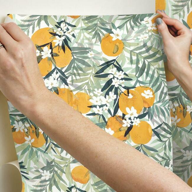 Orange Blossom Peel and Stick Wallpaper Peel and Stick Wallpaper RoomMates   