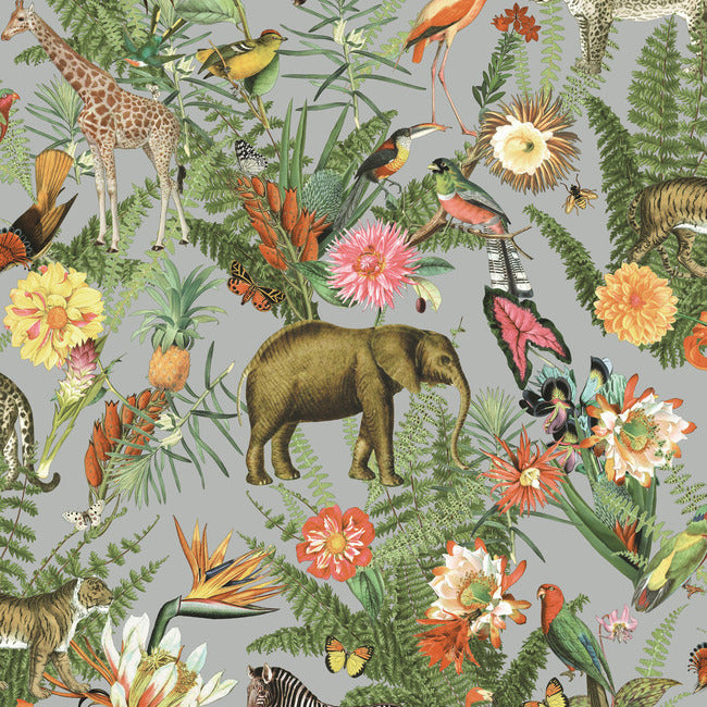 Tropical Zoo Peel & Stick Wallpaper Peel and Stick Wallpaper RoomMates Roll Gray 