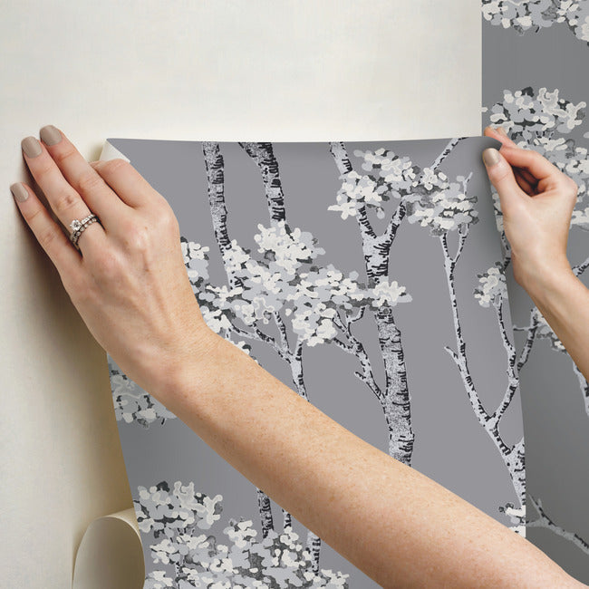 Birch Grove Peel & Stick Wallpaper Peel and Stick Wallpaper RoomMates   