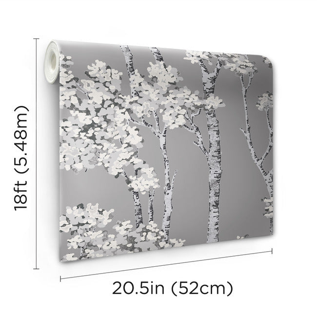 Birch Grove Peel & Stick Wallpaper Peel and Stick Wallpaper RoomMates   