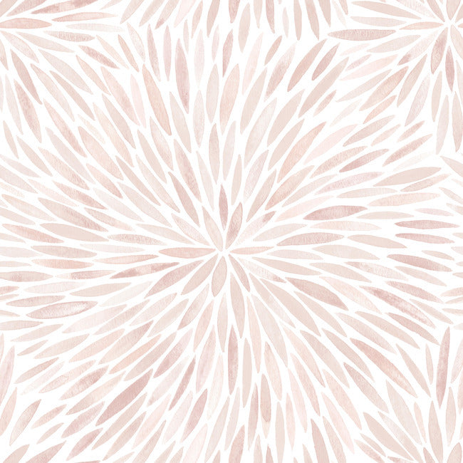 Cat Coquillette Burst Peel & Stick Wallpaper Peel and Stick Wallpaper RoomMates Roll Pink 