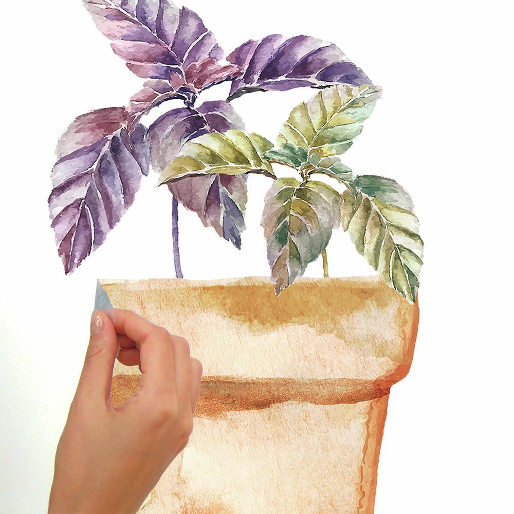 Watercolor Potted Herbs Peel and Stick Wall Decals Wall Decals RoomMates   