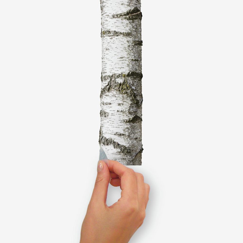 Realistic Birch Trees Peel and Stick Giant Wall Decals Wall Decals RoomMates   