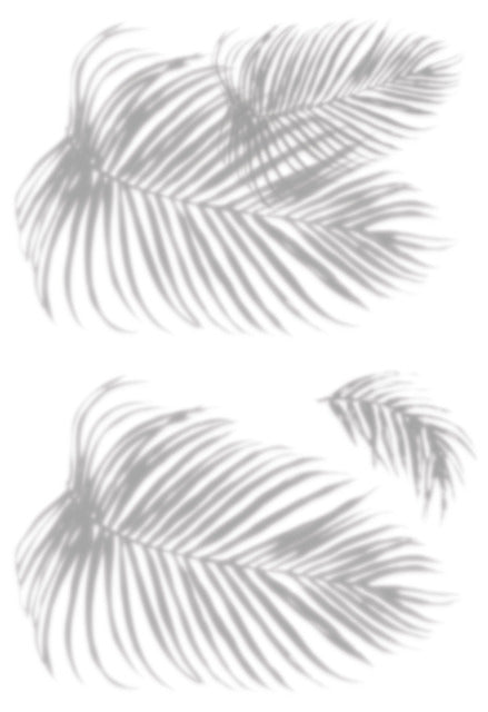 Mr. Kate Tropical Shadow Palm Frond Peel And Stick Wall Decals Wall Decals RoomMates   